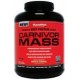 Carnivor Mass